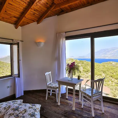 Kaktus Villa *