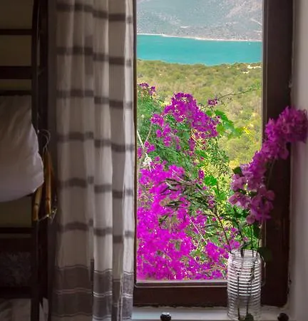 Kaktus Villa Kas