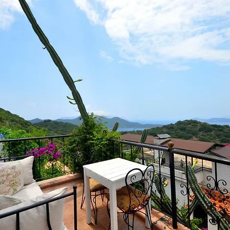 Kaktus Villa
