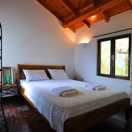 Kaktus Villa