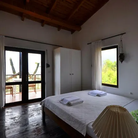 Kaktus Villa *